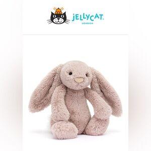 AUTHENTIC Jellycat Bashful Bunny Rosa size medium NWT - SOLD OUT